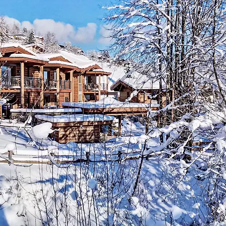 Lejlighed Tirol Wildschoenau 2 By Interhome *